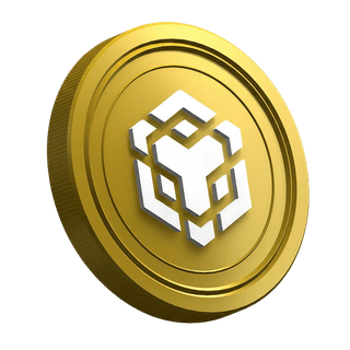 BNB-munt van Binance op de beginnersgids voor nieuwe traders